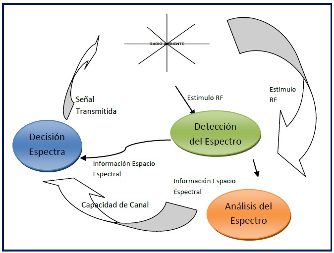 ciclo-cognitivo